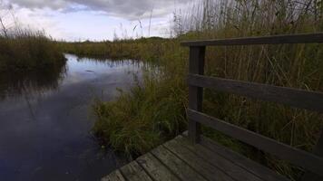 Rain softly falls over a wooden dock, creating gentle ripples in the marsh water. Surrounded by tall grass and under an overcast sky, the scene feels calm and serene. Wide-angle shot video