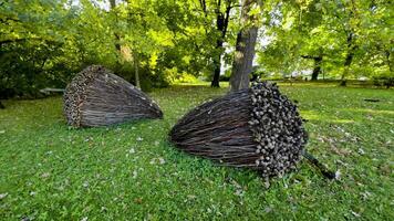 Two large, handcrafted sculptures resembling cones are placed on the green grass of a park. Made from twigs and pine cones, these art installations blend harmoniously with the natural surroundings of video