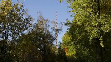 ein entfernt Aussicht von ein rot und Weiß Fernsehen Turm steigend über das Bäume, teilweise verdeckt durch Herbst Laub im ein Park. das Blau Himmel bietet ein knackig Kontrast zu das Grün und Vergilbung Blätter video