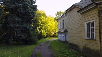 A serene yellow wooden house nestled among tall trees with golden autumn leaves. The path leading to the house is flanked by evergreens, while sunlight softly filters through the foliage, highlighting video
