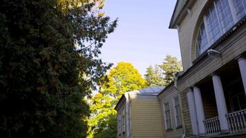 A serene yellow wooden house nestled among tall trees with golden autumn leaves. The path leading to the house is flanked by evergreens, while sunlight softly filters through the foliage, highlighting video