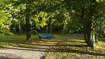 A green park bench sits in solitude under the shade of autumn trees, surrounded by golden leaves scattered across the ground. The peaceful setting, with dappled sunlight filtering through the branches video