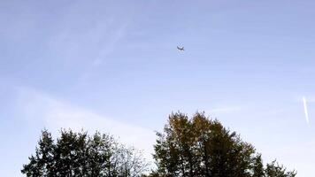 An airplane cruising through a clear, blue sky on a bright autumn day. The minimalist scene captures the serenity of open air and high-altitude travel, with a few soft, wispy clouds adding gentle video