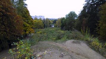 A scenic view from a forested hill with autumn foliage, looking over a distant pond and city buildings on the horizon. Captured from an elevated perspective, the image contrasts the natural autumn video