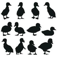 Cute duckling silhouette collection vector