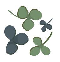 Abstract clover plant leaves set. Simple shamrock leaf in cartoon style. Botanical clip art isolated on white. vector