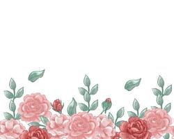 Pink and Red Watercolor Rose Flower Background vector