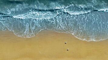 Aerial top View of Ocean Waves and Sandy Shore, Top-down shot of gentle ocean waves meeting a sandy beach, showcasing patterns of foam and untouched golden sand. video