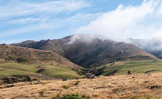 Central Otago new Zealand iconic beautiful landscape rolling hills green summer photo