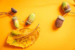 Abstract concept with autumn leaves and acorns on yellow background photo