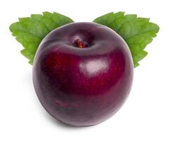 Fresh red plums fruit with leaves on white background. photo