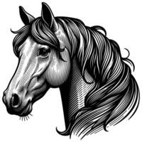 Stylish Detailed Hand Drawn Horse Head Artwork for Elegant Equestrian Projects vector