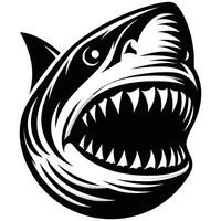 Aggressive Shark Illustration with Sharp Teeth in Black and White Style vector
