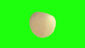 Studying a white apple's features on a green backdrop video