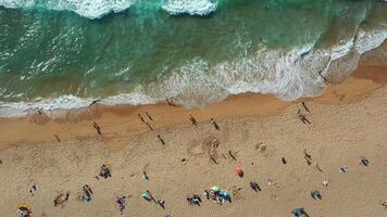 Stunning Aerial View of a Busy Beach With Sunbathers and Waves at Midday video
