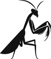 Praying Mantis with white backgroun vector