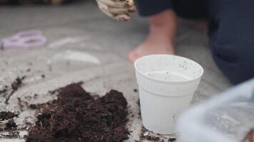 Creating a Small Indoor Plant Setup With Soil, Cup, and Hands-On Gardening Tips video