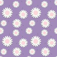 chamomile flowers seamless pattern with purple background vector
