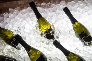 champagne bottles in a bucket with ice, top view photo