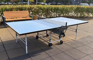 ping-pong table with a net photo