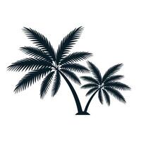 palm silhouette isolated on white background vector