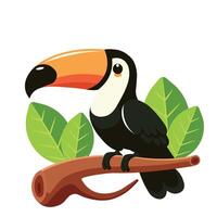 toucan on tree branch isolated on white background flat illustration vector
