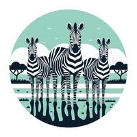 Safari zebra illustration flat design vector