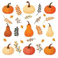 Autumn set pumpkins and leaves flat hand drawn design isolated on white background vector