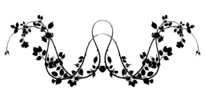 swirled pattern rose weave plant element. vector