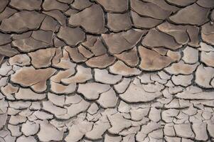 Full frame shot of mudcrack surface and background. Crack formation also occurs in clay-bearing soils as a result of a reduction in water content. photo
