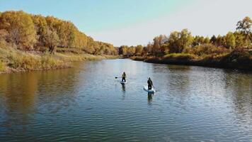 Two athletes are rafting down river on inflatable surfboards, using paddles, on cool autumn day, surrounded by yellowing trees and forests. video