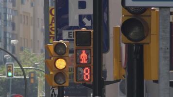 Traffic lights in red to green with indicator for pedestrian and time meter video