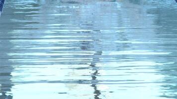 Swimmer jumping and starting race in a competition in crawl style video