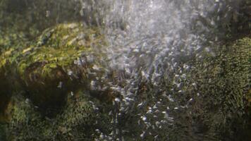 Water river and bubbles of water in a little stream from inside of a river video