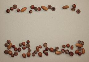 Acorns with caps on a beige background. Place for text photo