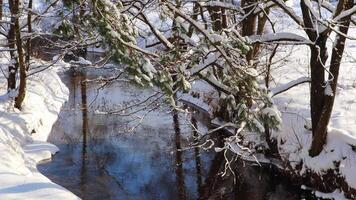 Flowing river in a snowy winter forest. Branches of trees covered with fresh snow on sunny frosty day video