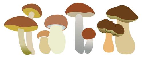 small mushrooms set in shape gradient style on white background vector