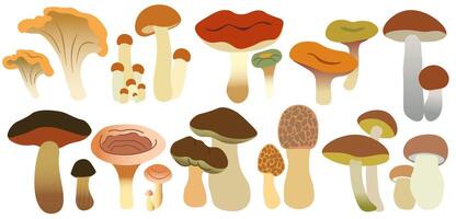 big mushrooms collection in shape gradient style on white background vector