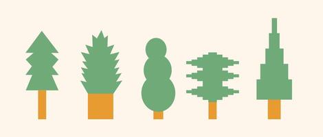 non ordinary fir tree or Christmas tree set vector