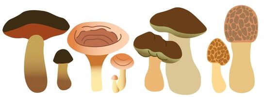forest mushrooms set in shape gradient style on white background vector