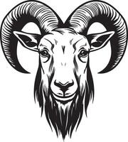 A ram head with horns on a white background vector