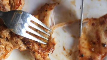 grill chicken meat served with chips and fresh salad on a plate video