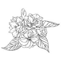 Bouquet with Sakura Flower. hand drawn illustration of Cherry Blossoms on isolated background. Bundle with outline drawing of Buds and Petals. Sketch in line art style painted by black inks vector