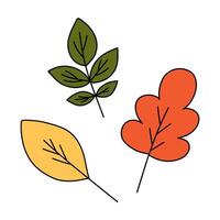 Multi-colored autumn leaves in doodle style. Yellow, orange and green leaf. Hand drawn illustration isolated on white background. vector