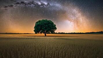 Animation of a lonely tree under the Milky Way video