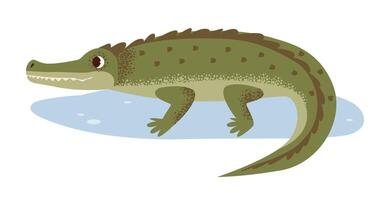 Crocodile in its natural habitat. Modern of an alligator. A reptile illustration. vector