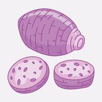 Illustration of Taro root vegetable with two round slices of Taro Root vector