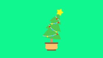 Christmas Tree in a Pot Animation. Suitable for Christmas and New Year Content. 2d animation 4k. Transparent Background video