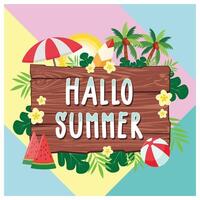 Hello summer text on wooden board. Colorful summer elements decoration. Summer concept. vector