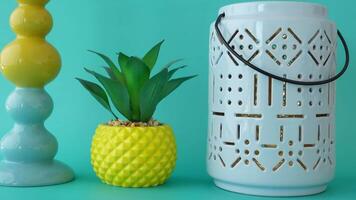 A Decorative Lantern paired with a Succulent Planter set against a Vibrant Background video